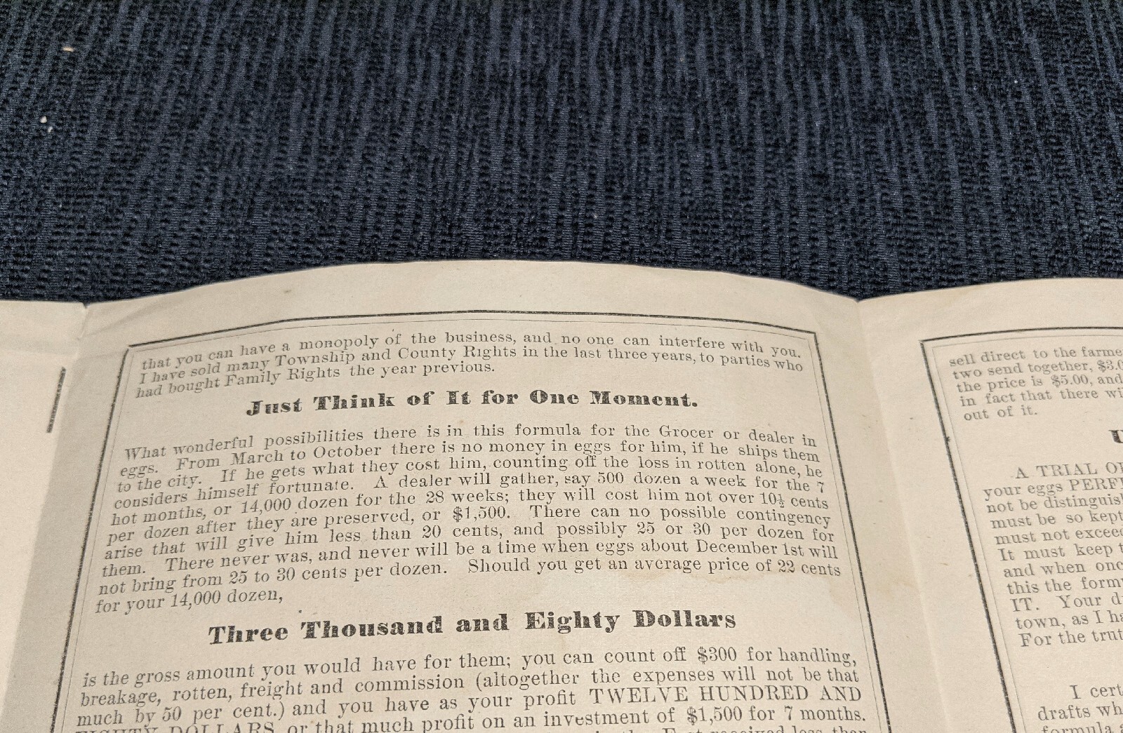 1890 Golden Egg Formula Newsletter Poultry Circular Eggs Agriculture Ad Brochure