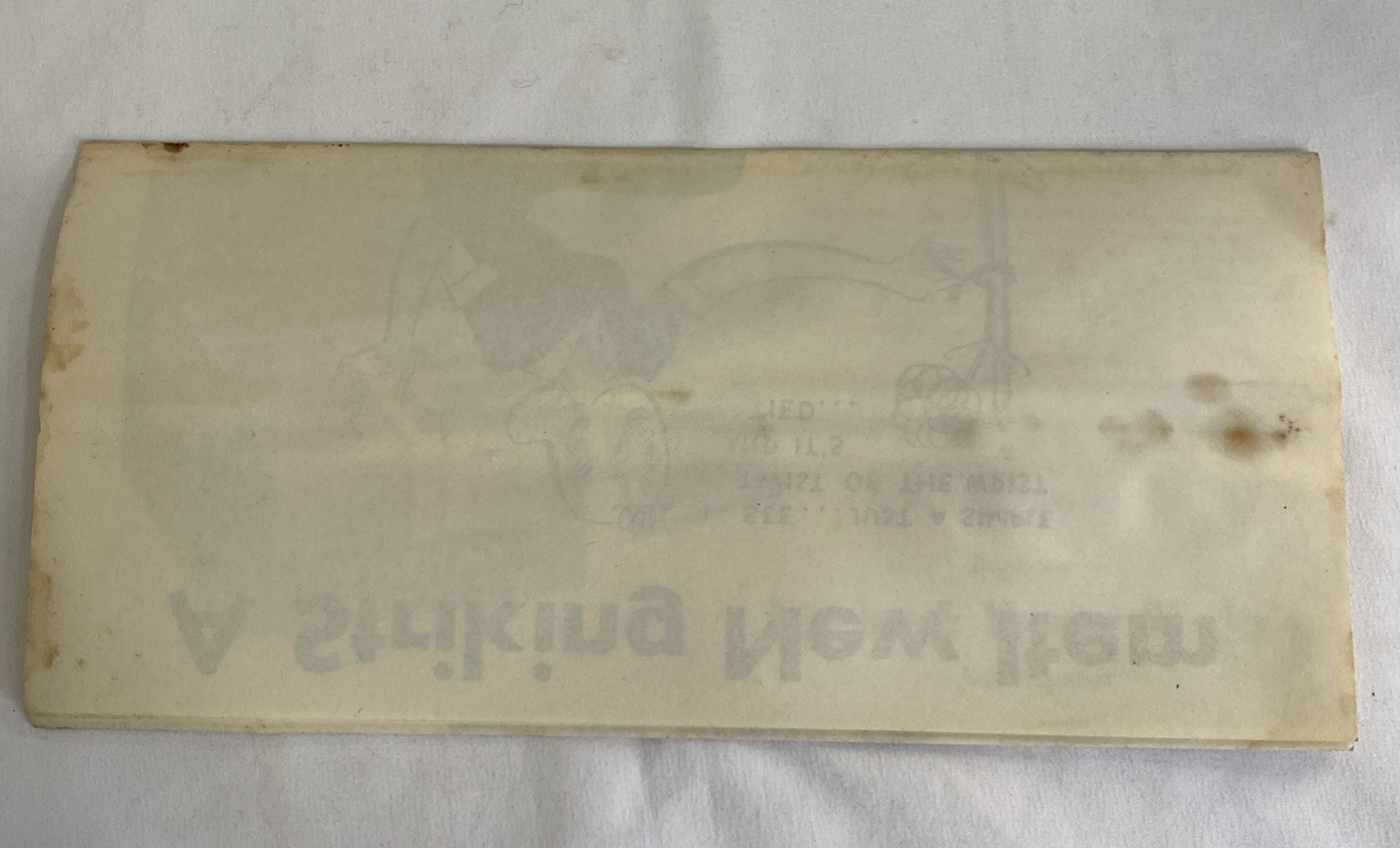 Aggeler Musser Twist-Ems Garden Ties Paper w/Wire Center Advertising Pamphlet US