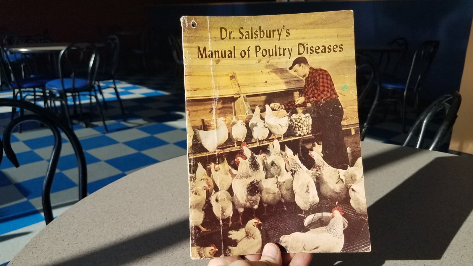 1955 Dr Salsbury&rsquo;s Manual of Poultry Chicken Diseases 64 Pages