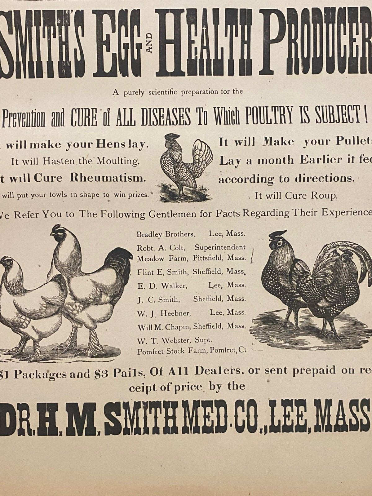 Antique 1900&rsquo;s Dr.Smith&rsquo;s Egg & Chicken Broadside Poster Sign, Lee, MASS Kitchen