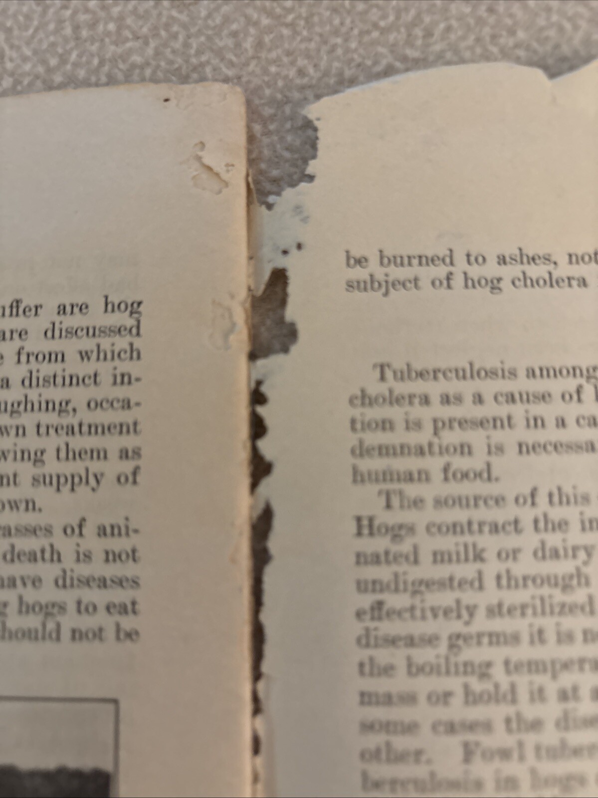 Two U.S.D.A. Famers&rsquo; Bulletins Marketing Poultry 1931 & Swine Production 1928