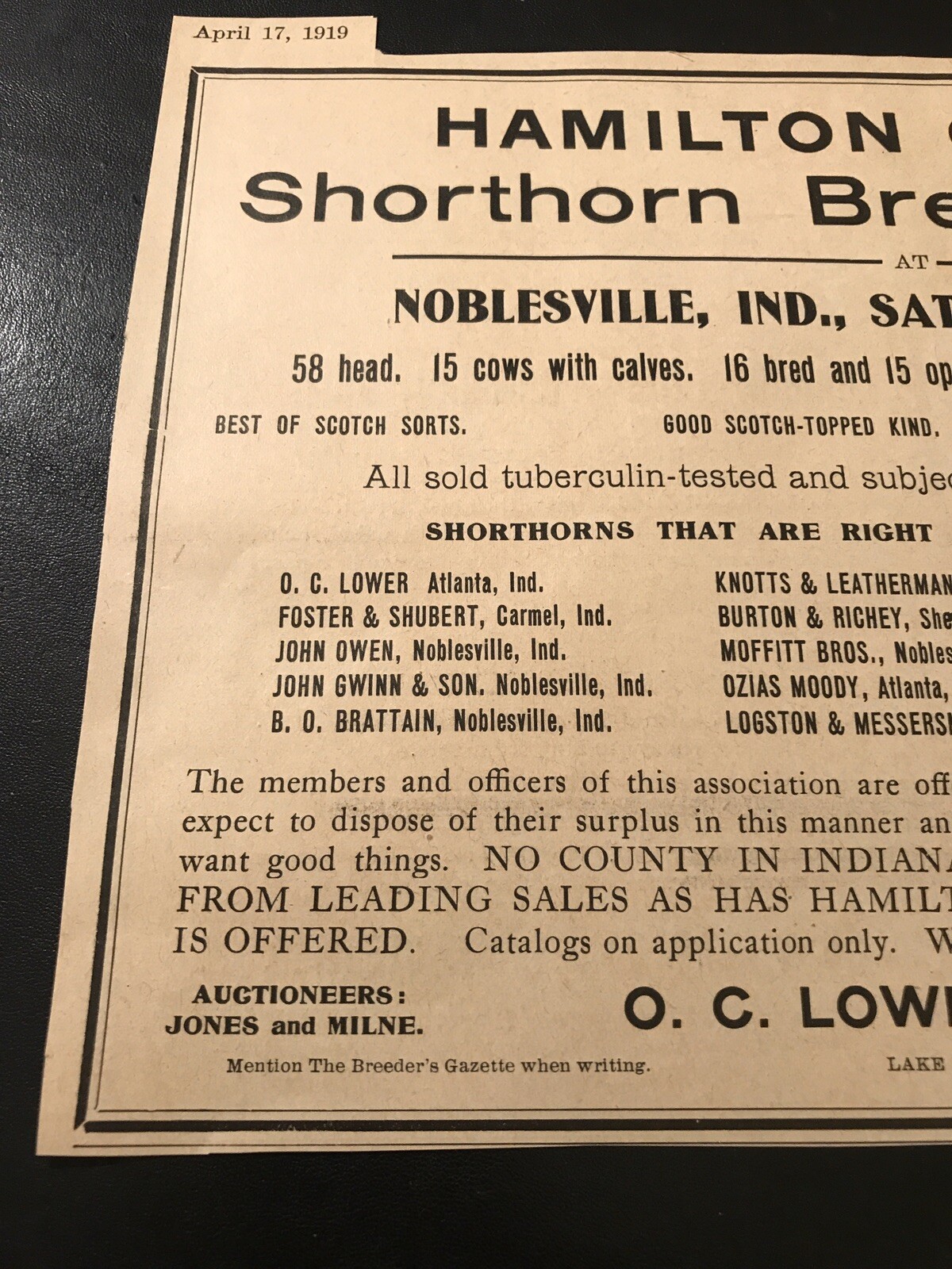 1919 Shorthorn Breeders Cattle Public Sale – Cow – Noblesville – Indiana