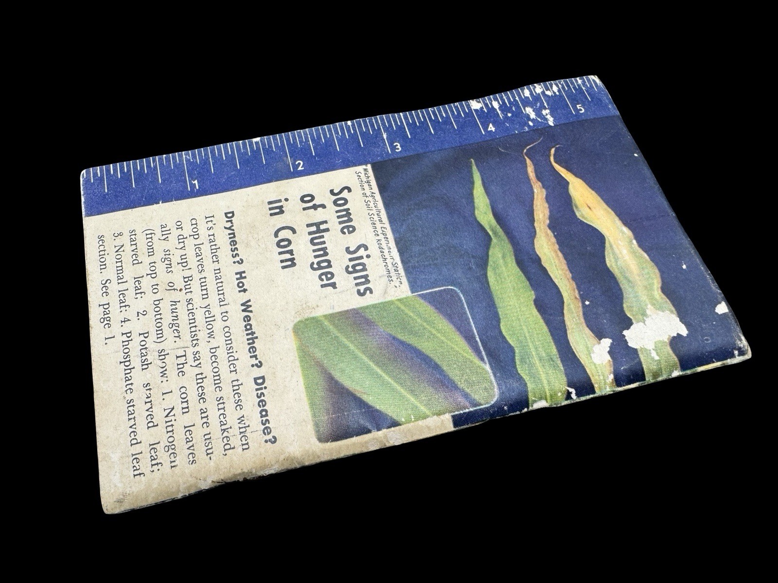 Swift’s Plant Food Service Red Steer Notebook Pocket Book Used 50&rsquo;s