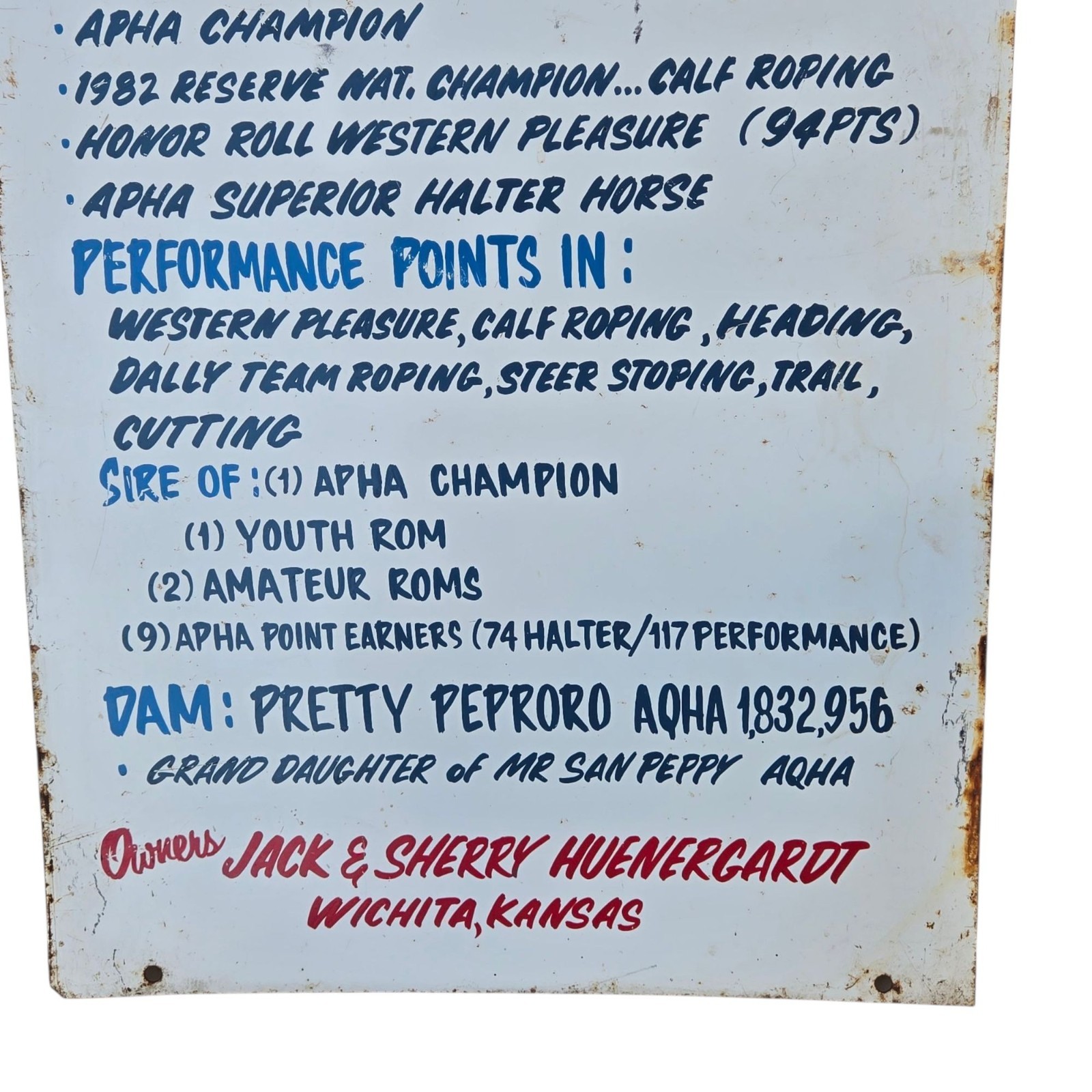 Vintage Paint Horse Farm Breeding Sign Metal 1987 APHA Champion Wichita Kansas