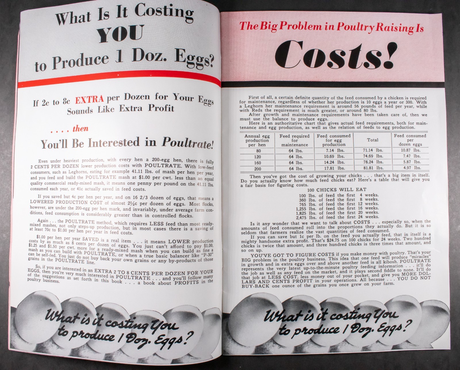Vintage Agriculture Advertising Foxbilt Feeds Brochure Chicken Farming 1944