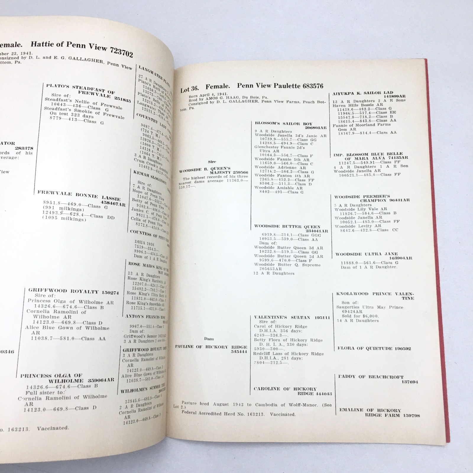 Vintage 1943 Livestock Dispersal Sale Catalog Penn View Farms Peach Bottom PA
