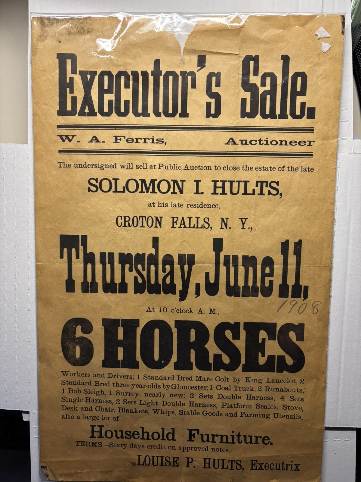 Original Vintage BROADSIDE 1908 AUCTION Equestrian Croton Falls NY, 6 Horses
