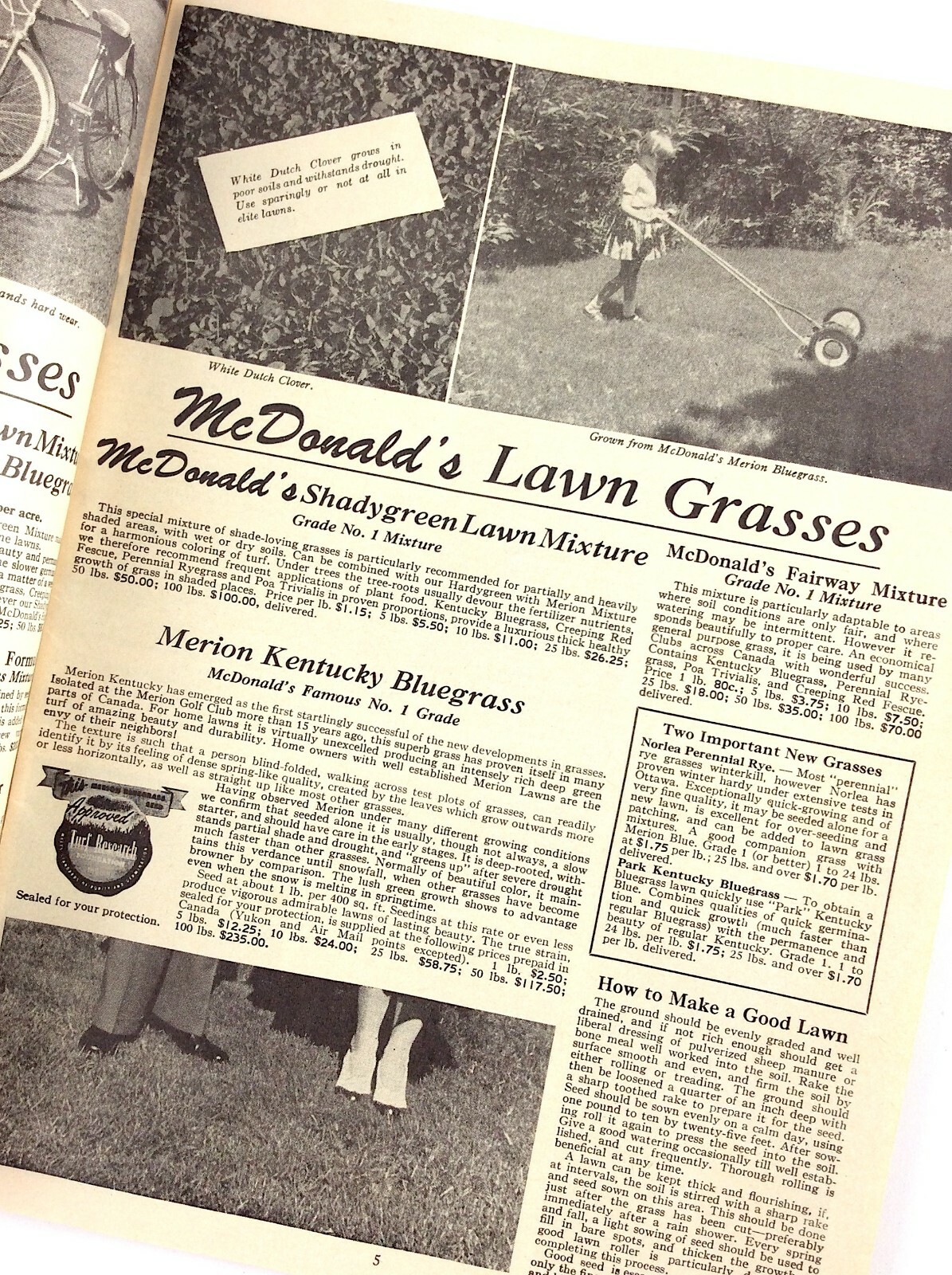 Garden Catalogue 1962 Mcdonalds Flowers Plants Booklet Catalog L324