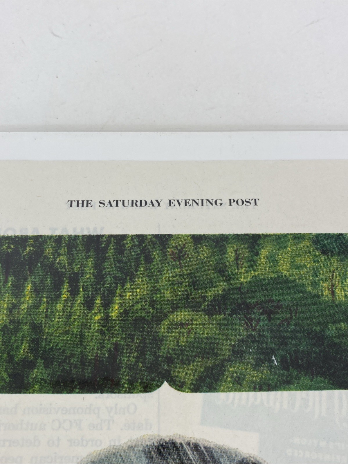 Vintage 1951 Brown Company Berlin NH Print Advertisement Saturday Evening Post