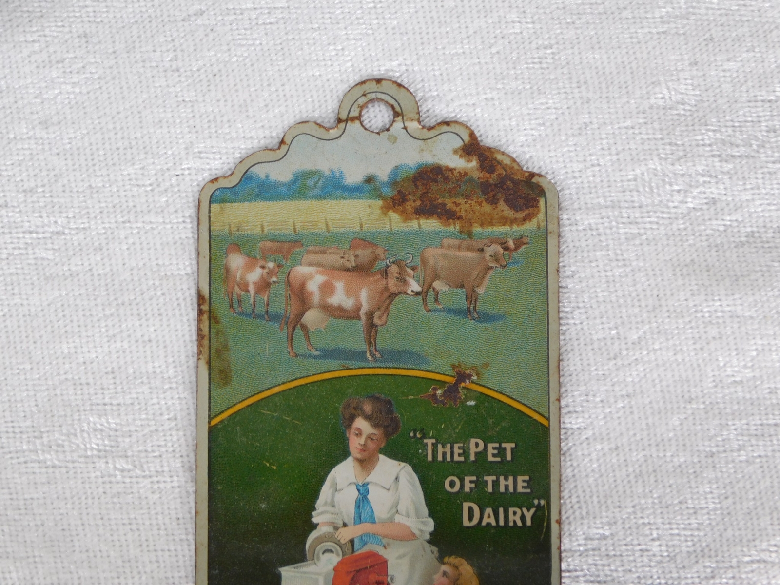Antique Sharples Tubular Cream Separator Cow Litho Tin Sign Match Holder Safe