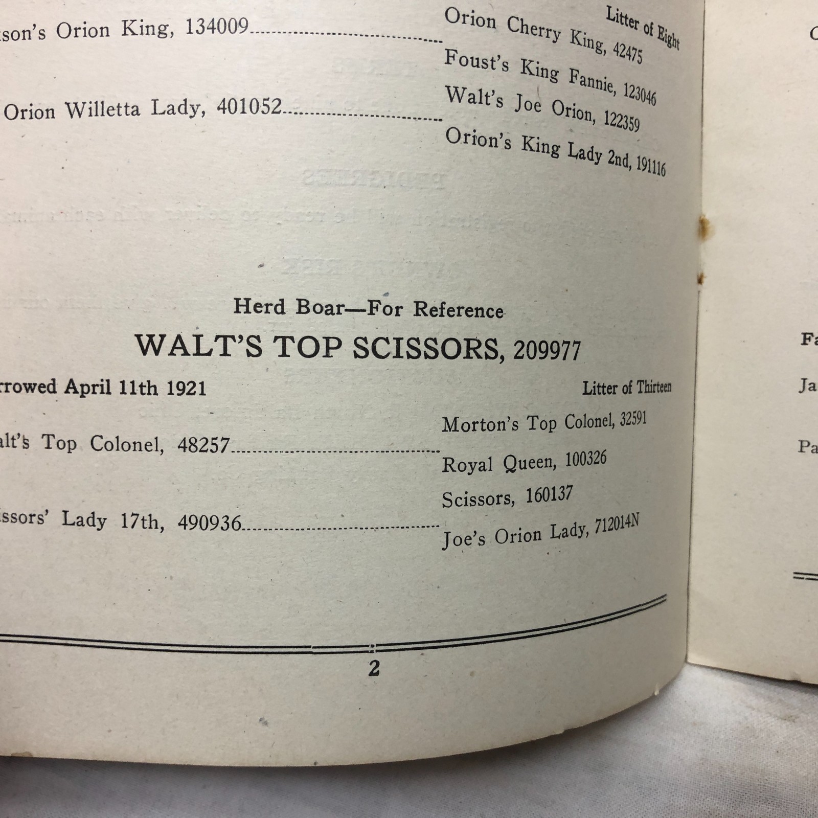 Vintage 1923 45-Duroc-45 Bred Sows Sale Booklet