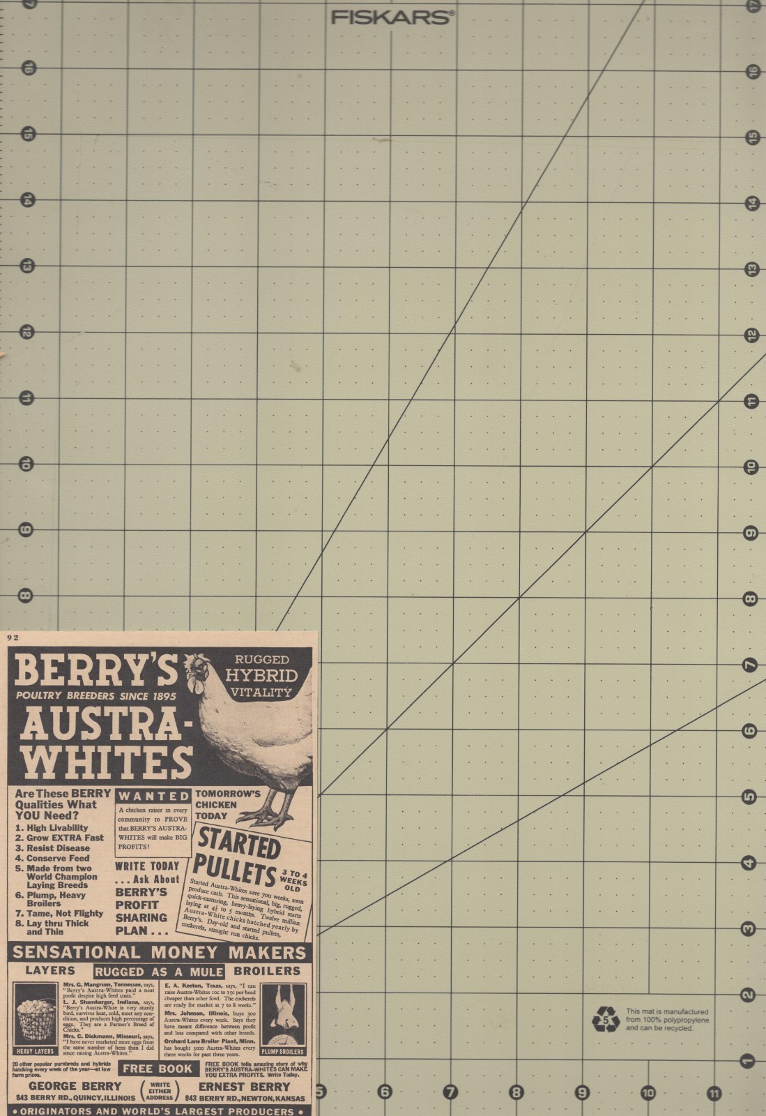 Vintage 1946 Berry&rsquo;s Austra Whites Chicken Quincy IL Newton KS Farming Print Ad