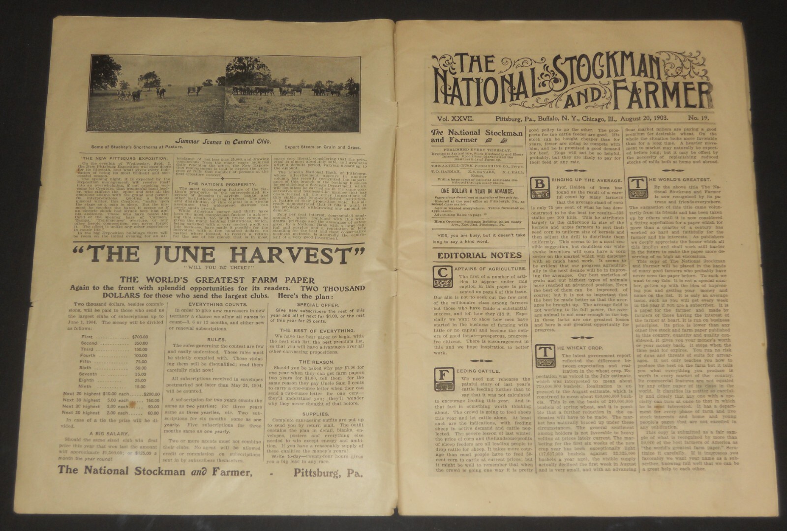 National Stockman and Farmer large size magazine many horse illustrations + ads