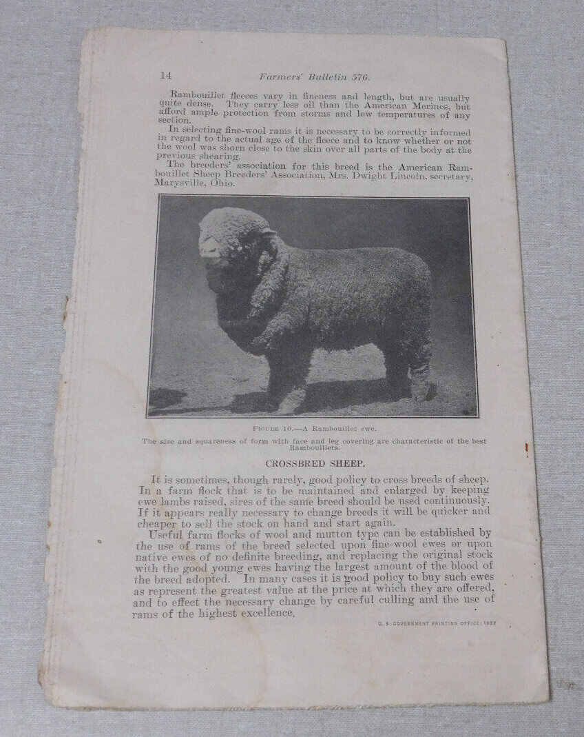 U.S. Department Agriculture bulletin Breeds of Sheep for the Farm 1937