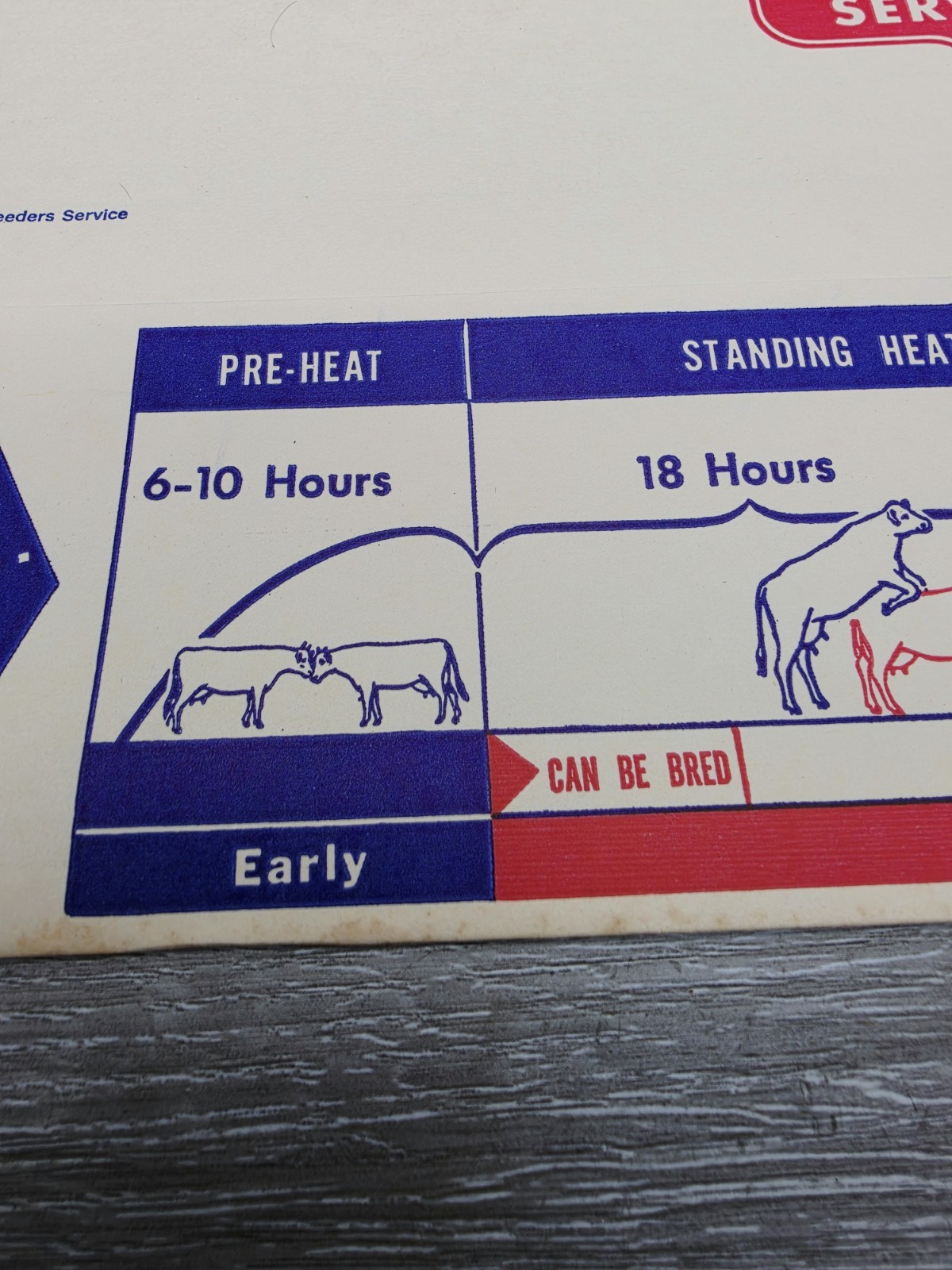Rare 1957 American Breeders Service Folder Cow Breeding Schedule NOS Advert