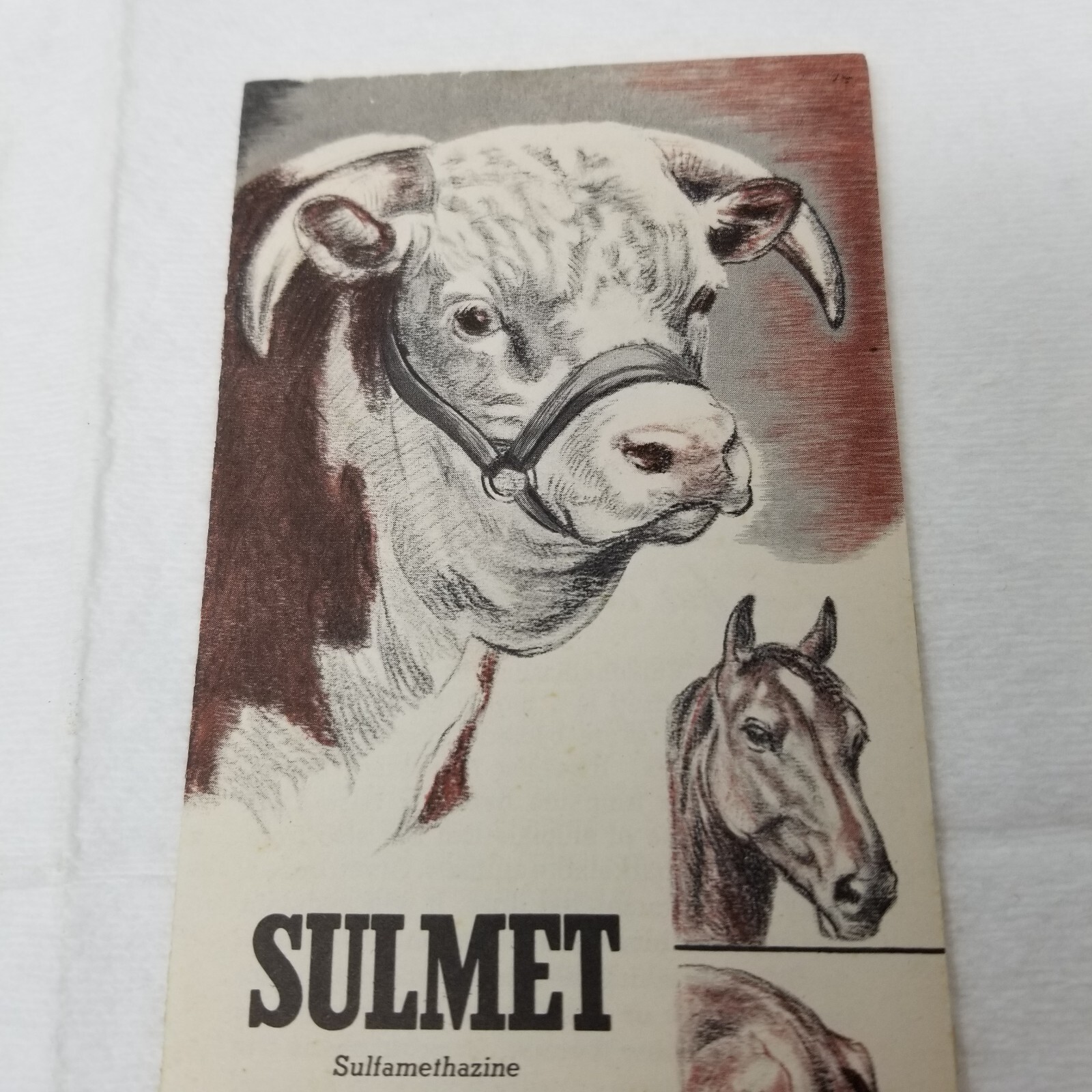Sulmet Sulfamethazine Sales Brochure 1948 For All Animals Lederle Laboratories