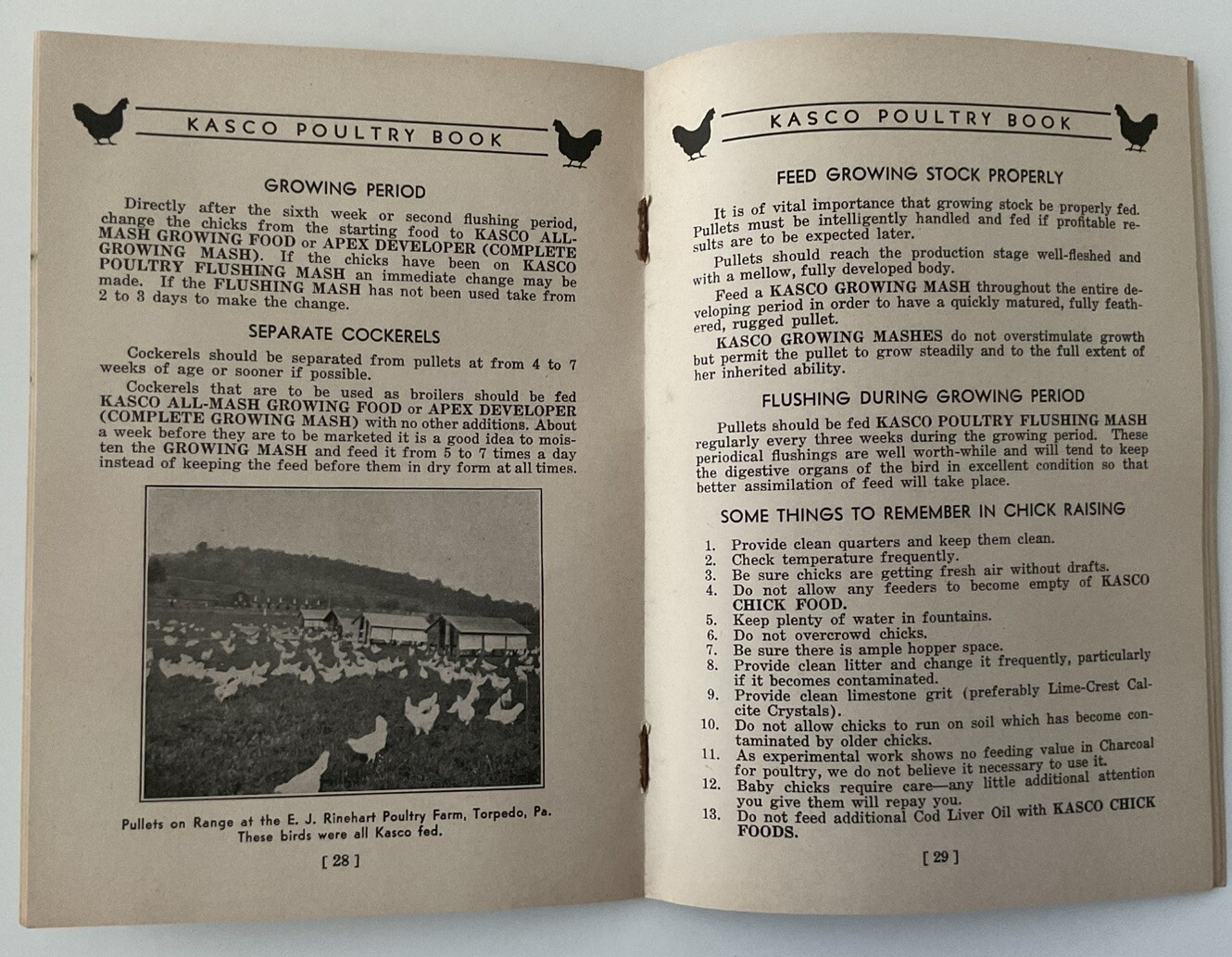 Kasco Poultry Book 1934 Edition – 55 Pages