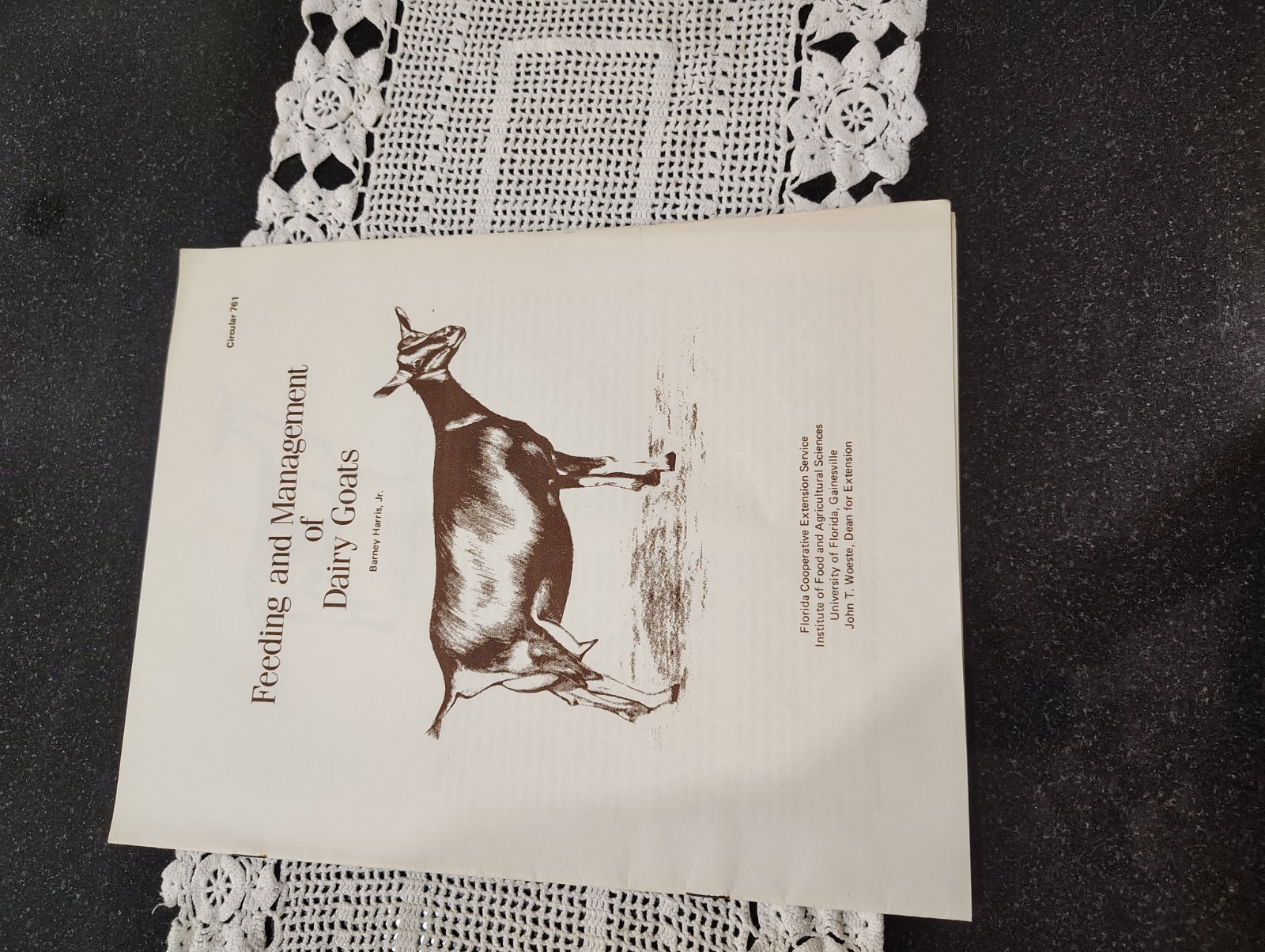 vintage Raising Goats fl brochures booklet 1980s farming Agriculture
