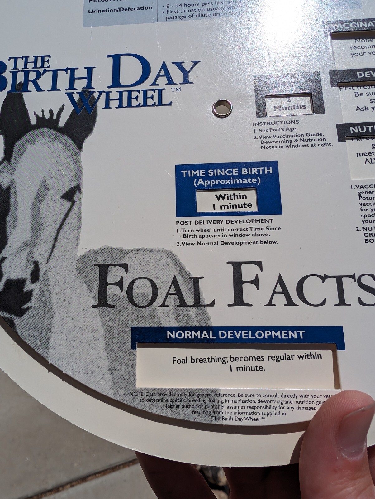 Vintage 1999 Horse Fact Spinner Double Sided The Birth Day Wheel DVM marketing
