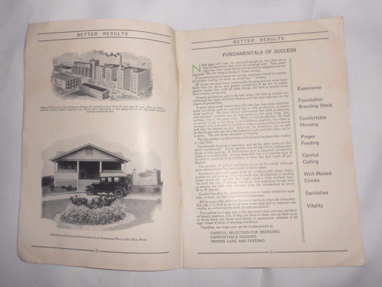 Vtg 1930 Northwestern Yeast Co Chicago Farm Advertising Chickens Pigs Booklet