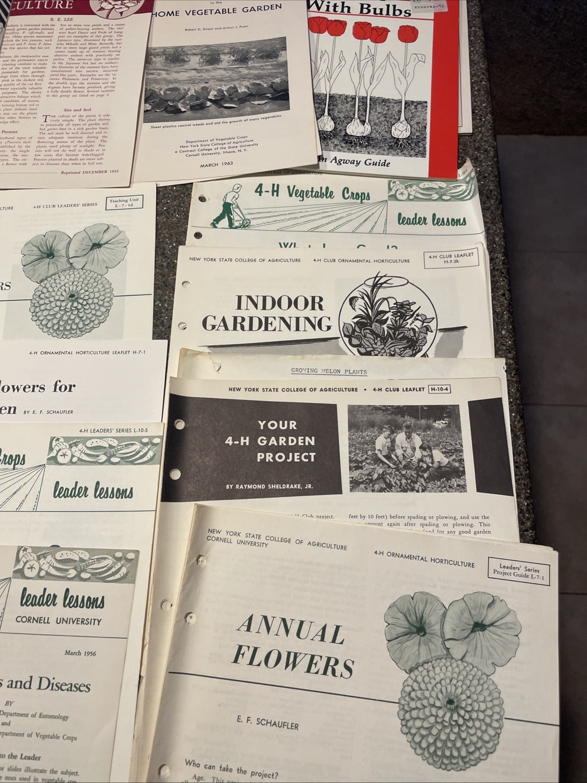 Large Lot Vintage 4H And Cornell Cooperative Extension Gardening Brochures.
