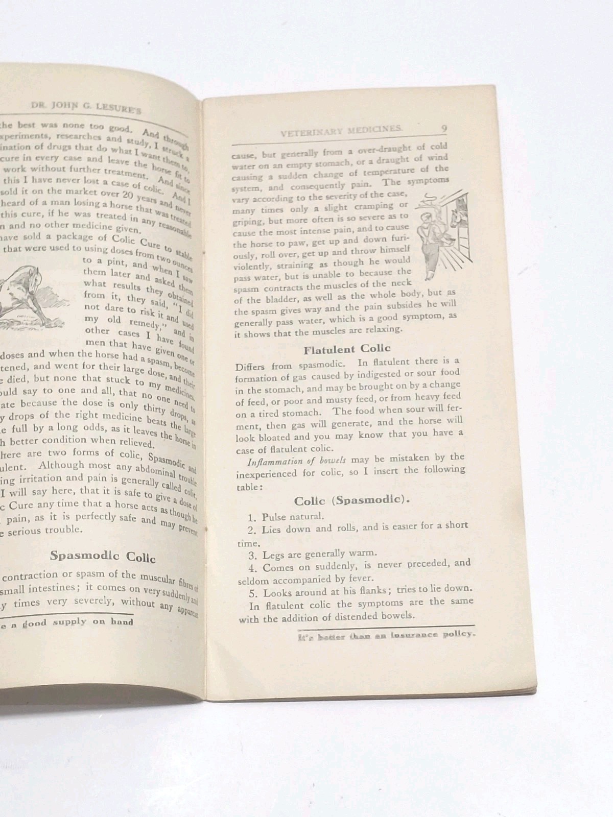 Dr Lesure&rsquo;s Veterinary Remedies Farm Vet Brochure Catalog Keene NH Early 1900&rsquo;s