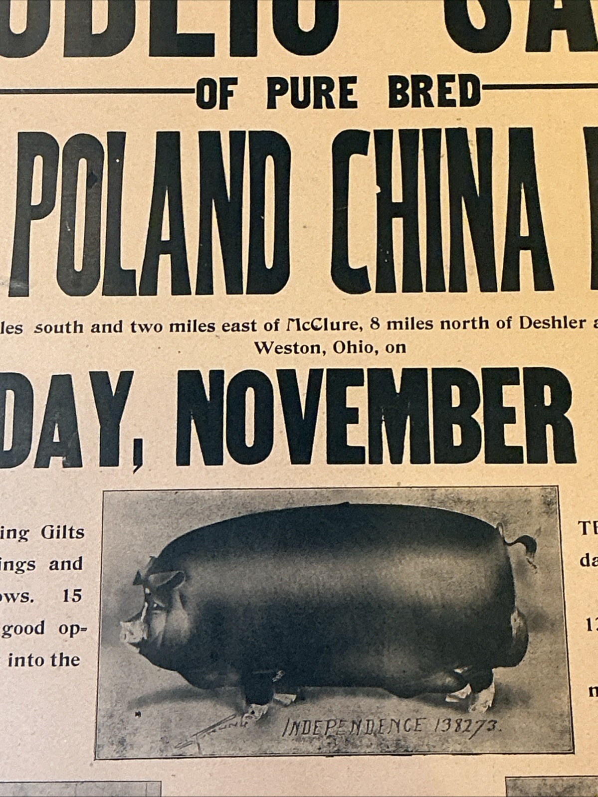 Antique 1910 Original Auction Poster China Hog Public Sale Ohio As Is INV-AC07Y