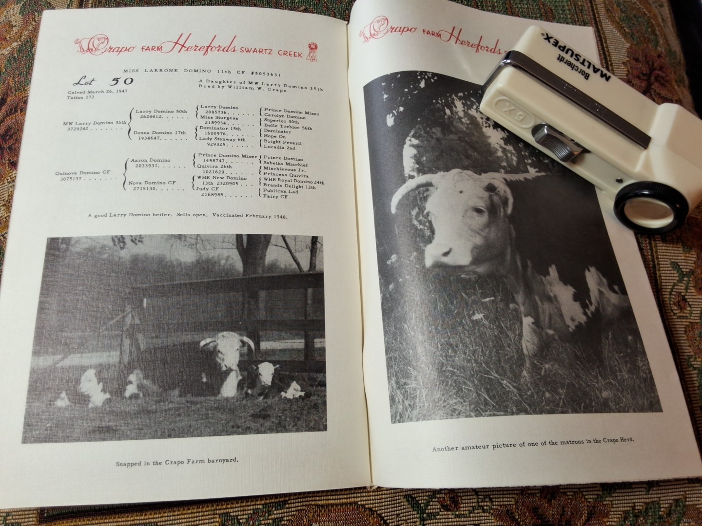Pair 2 Vintage Crapo Farm Herefords Auction Sale Catalogs Swartz Creek Michigan