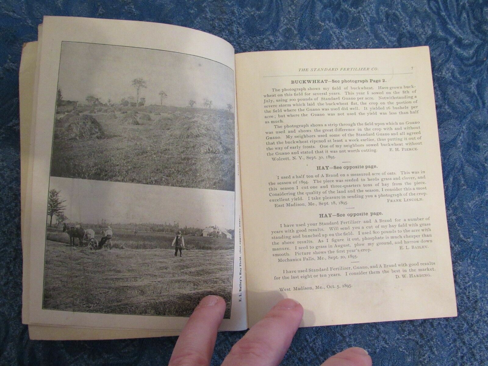 1897 Advertising Booklet Standard Fertilizer Co Boston & Mid Century Planting