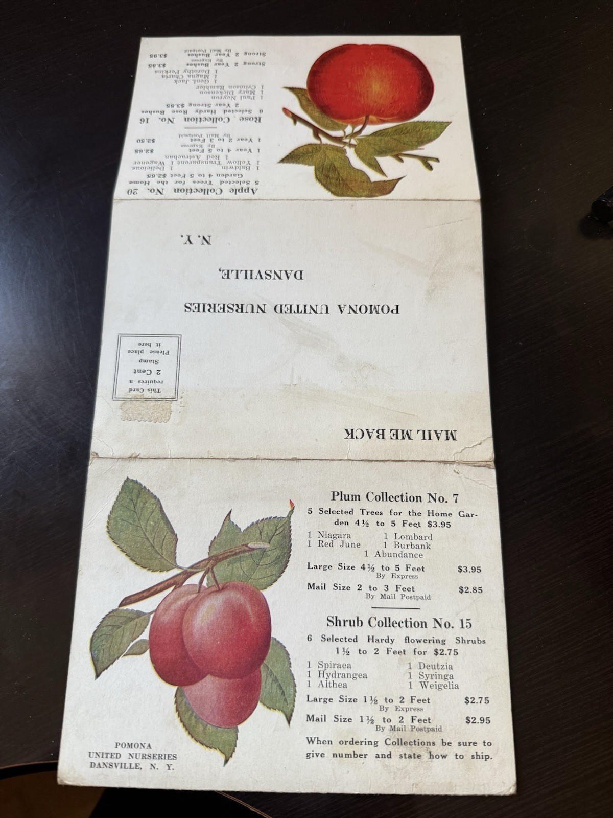 Pomona United Nurseries Dansville NY Postcard Folder Order Postcard Full Color
