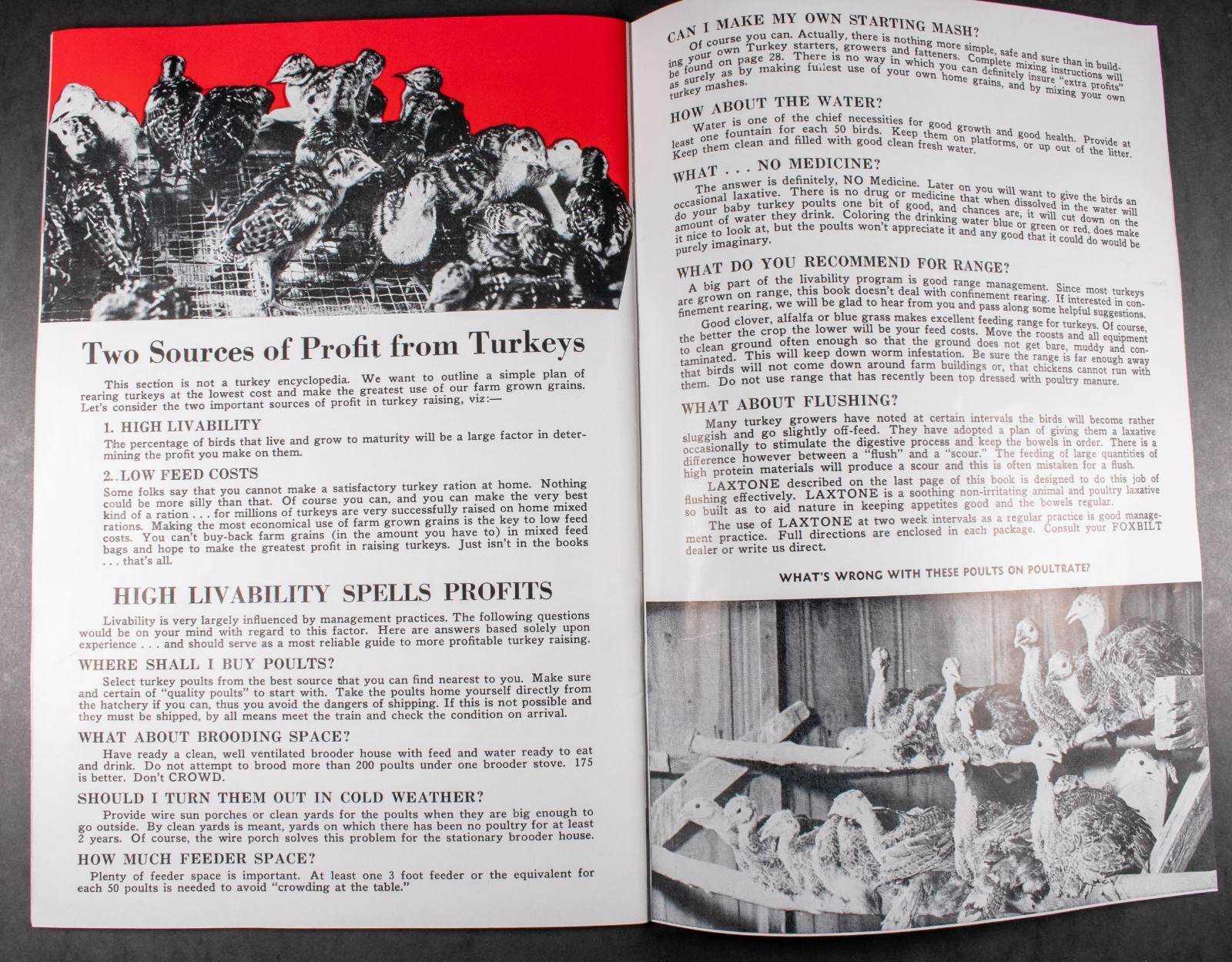 Vintage Agriculture Advertising Foxbilt Feeds Brochure Chicken Farming 1944