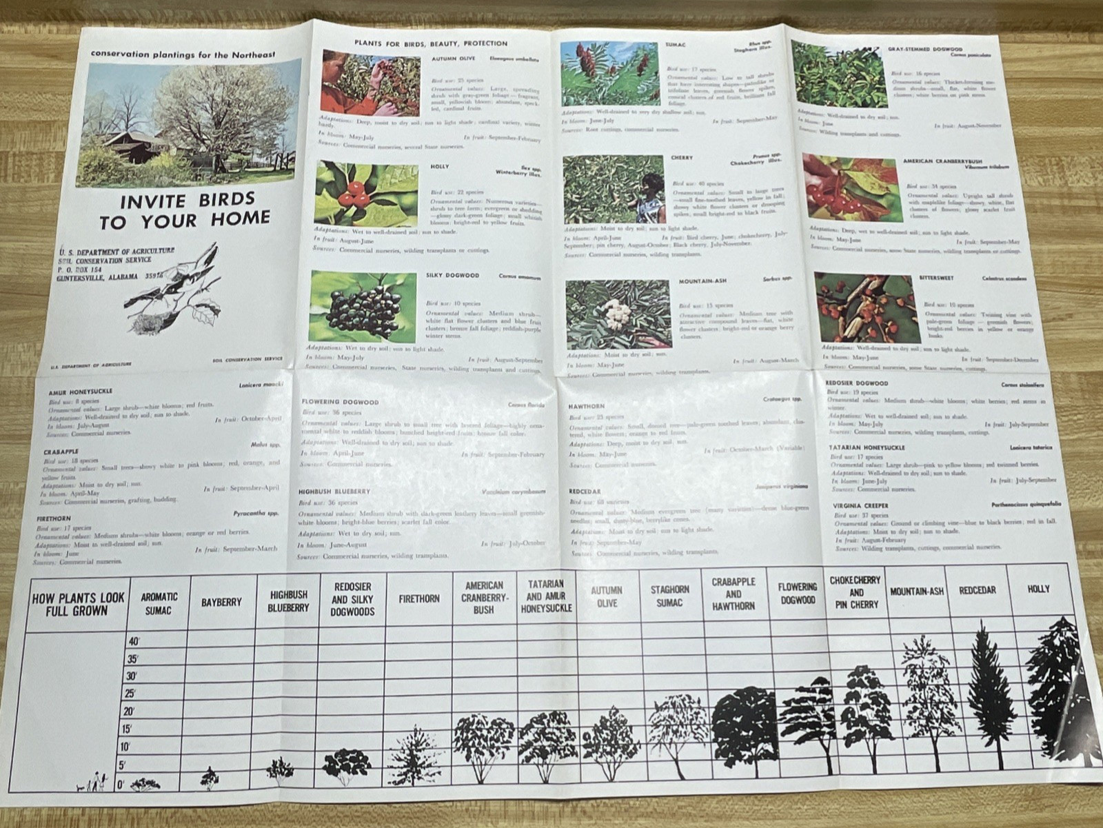 US Department Of Agriculture Farmers’ Bulletin Fruit Soil Birds Lot Of (7) Vtg