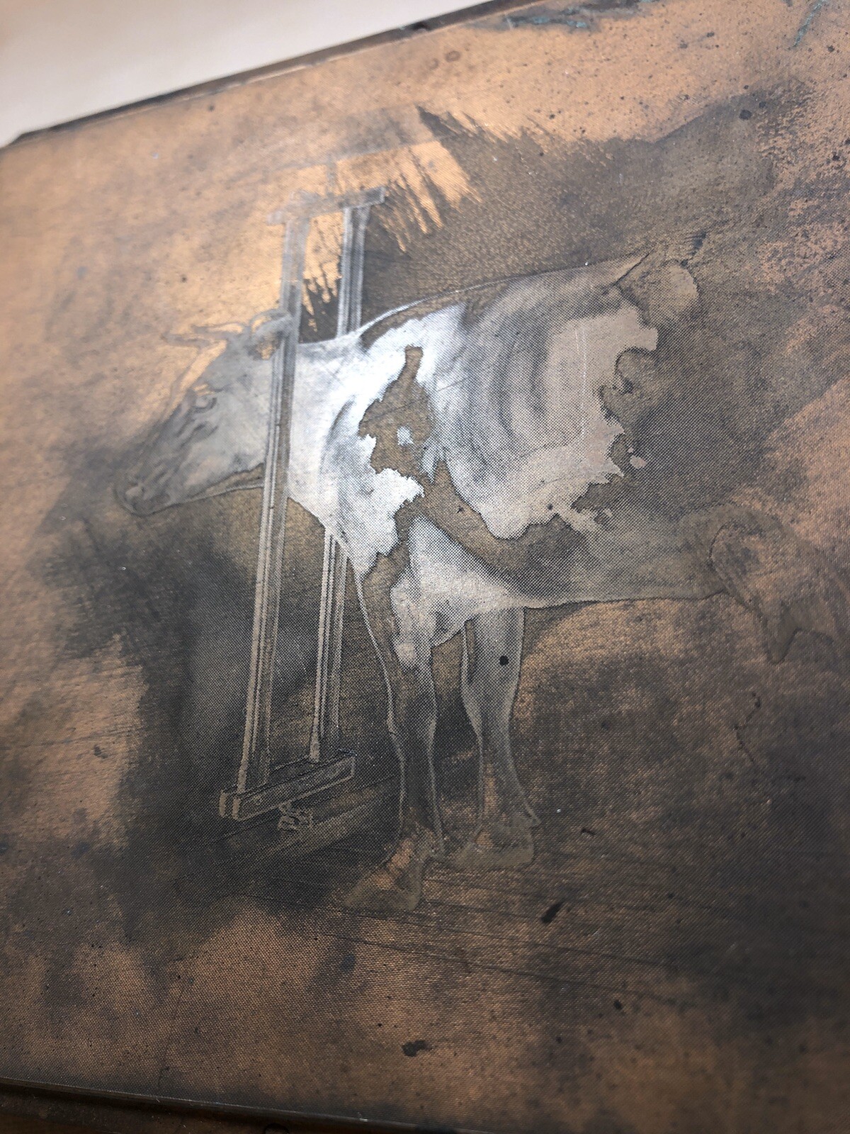 Rare Antique Robertson&rsquo;s Forestville CT Stanchion Cow Copper Plate for BOOKLET