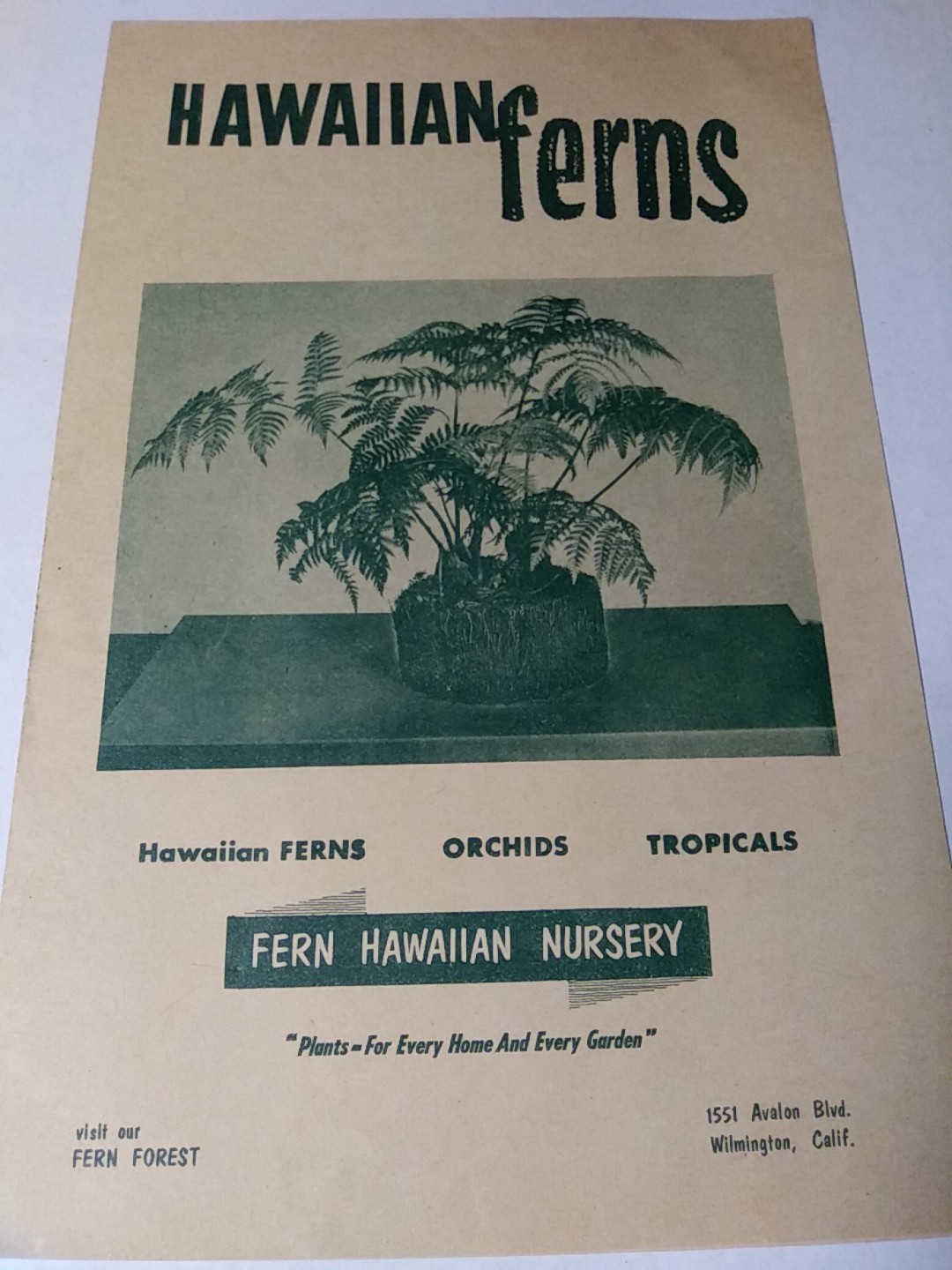 1955 Fern Hawaiian Nursery « Plants-For Every Home&Every Garden » Print Ad