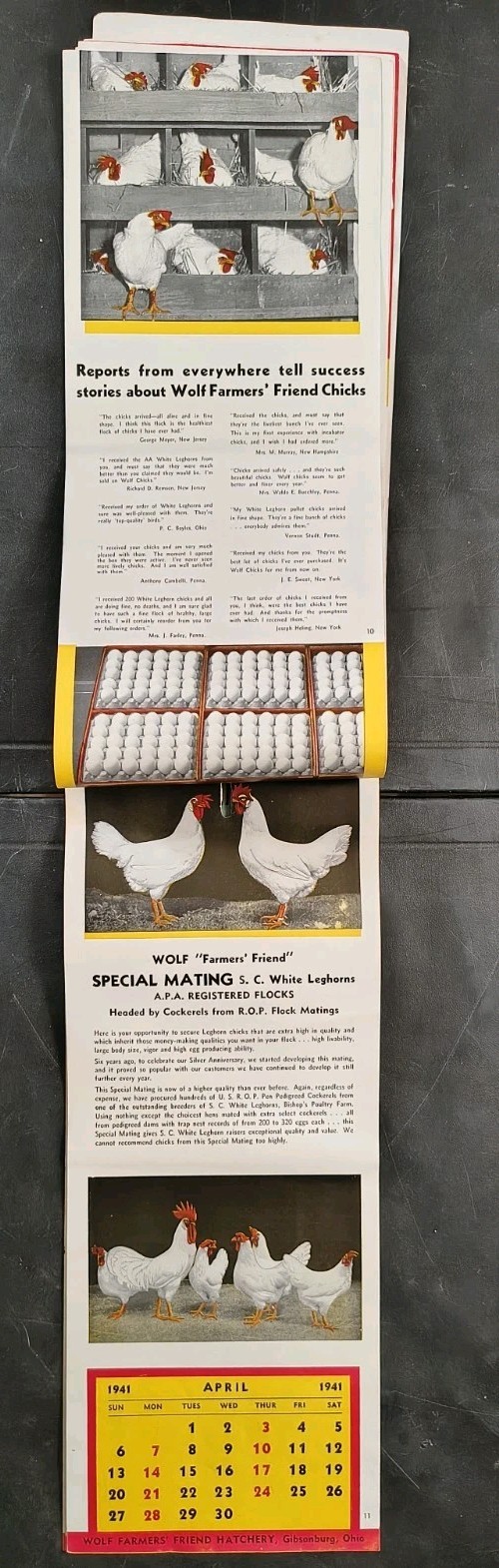 1941 Wolf Baby Chicks Catalog Calendar Sale Brochure Chicken Farming Advertising