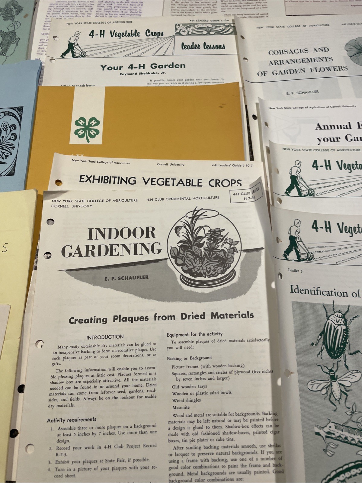 Large Lot Vintage 4H And Cornell Cooperative Extension Gardening Brochures.