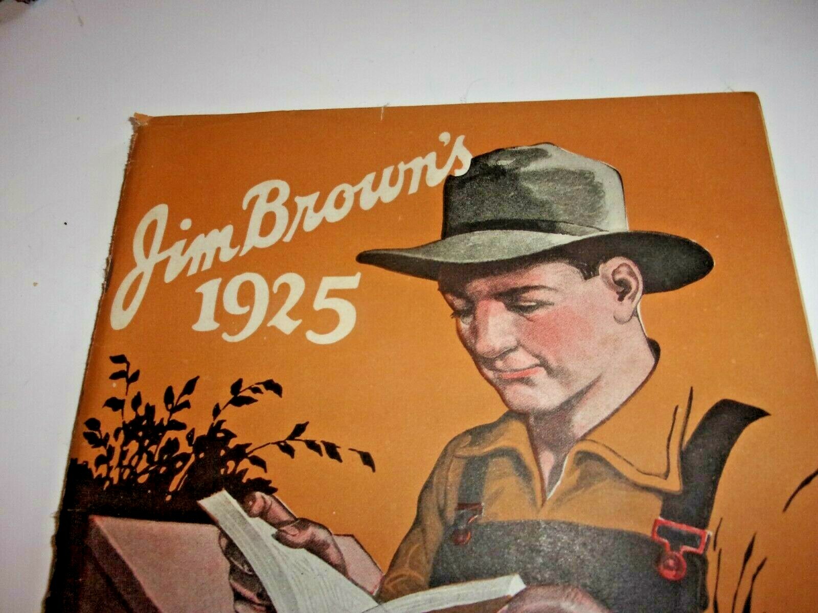 JIM BROWN&rsquo;S 1925 BARGAIN BOOK CATALOG BROWN&rsquo;S FENCE & WIRE, CLEVELAND, OHIO