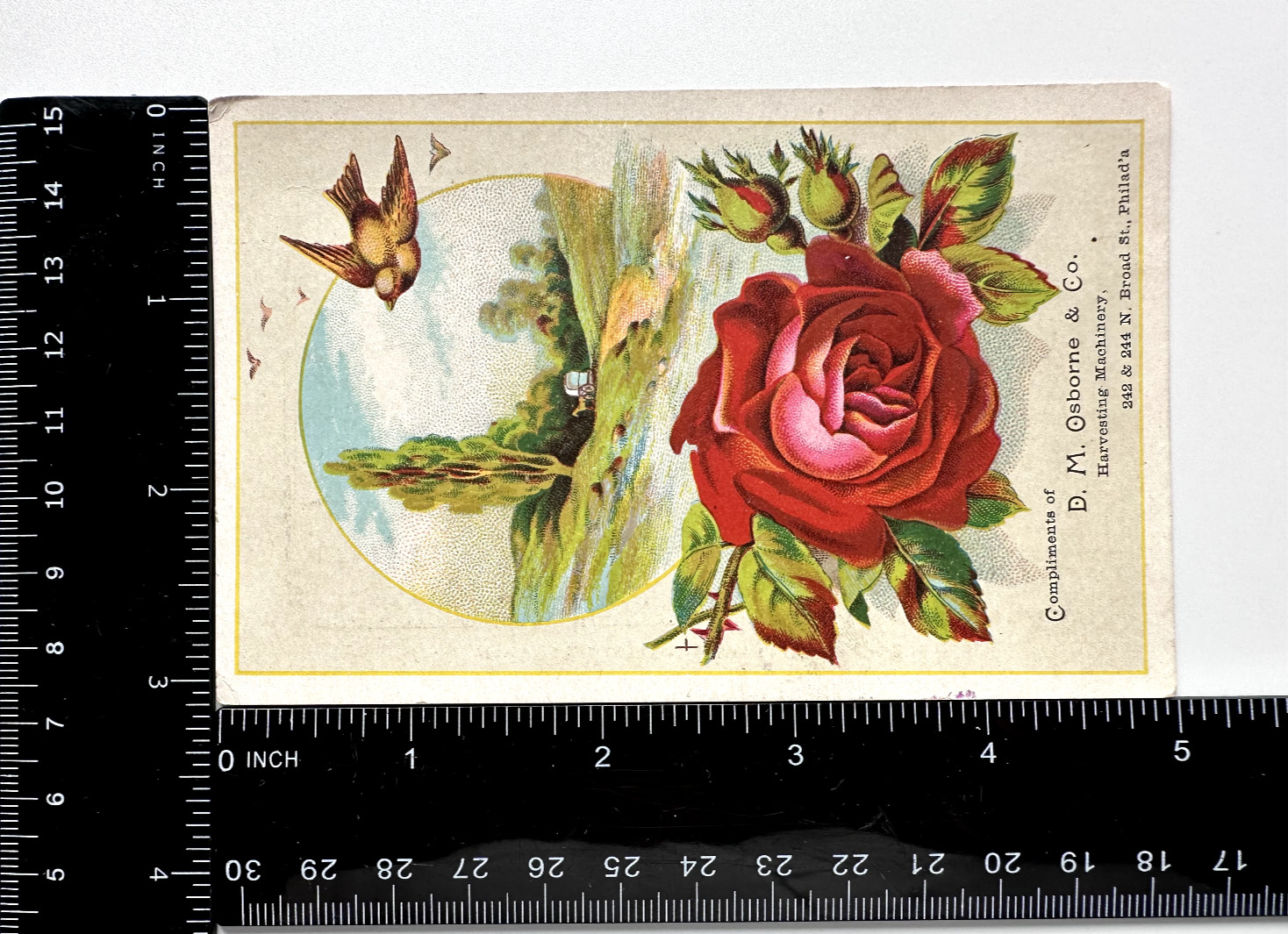 D. M. OSBORNE & CO. HARVESTING MACHINERY: VICTORIAN TRADE CARD: PASTORAL SCENE
