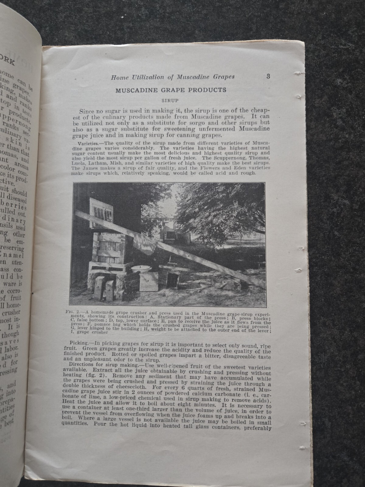 1942 HOME UTILIZATION OF MUSCADINE GRAPES USDA Farmers Bulletin No. 1454 USDA