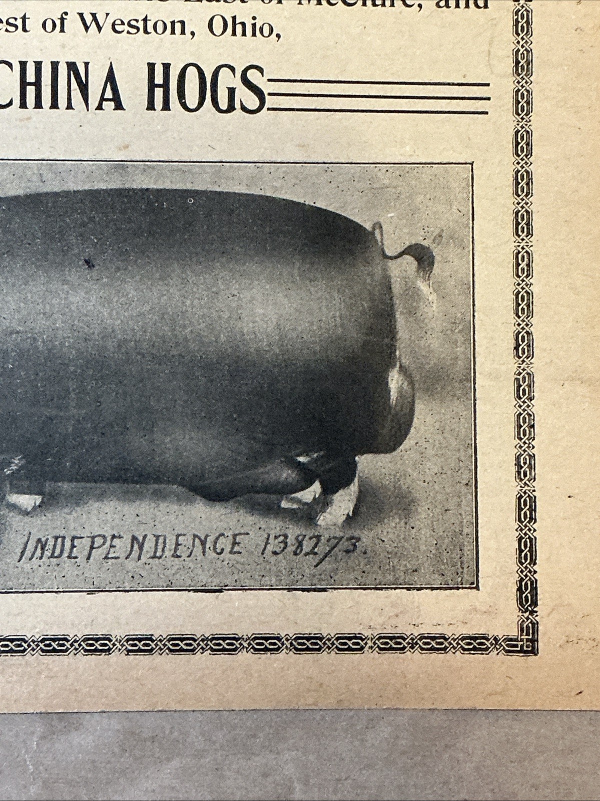 Antique 1911 Original Auction Poster China Hog Public Sale Ohio As Is INV-AC07Z