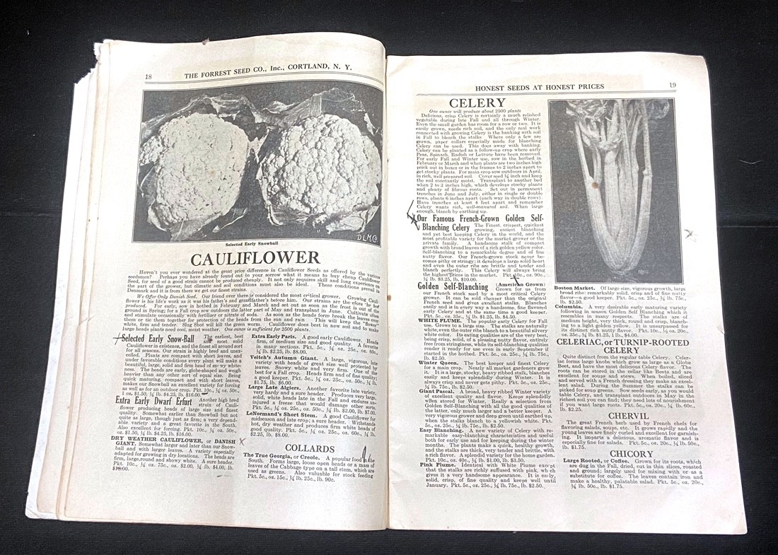 1925 and 1926 FORREST&rsquo;S HONEST SEEDS – FORREST SEED CO CATALOGUES – TWO Each 72p