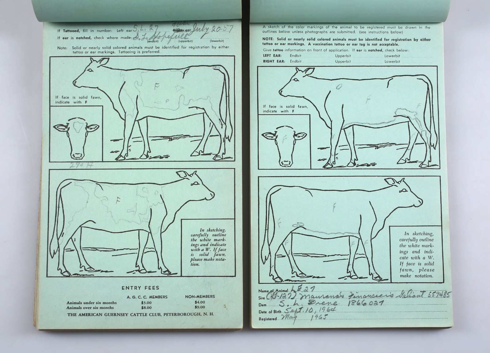 Lot of 2 American Guernsey Cattle Club Herd Registration Entry Application Books
