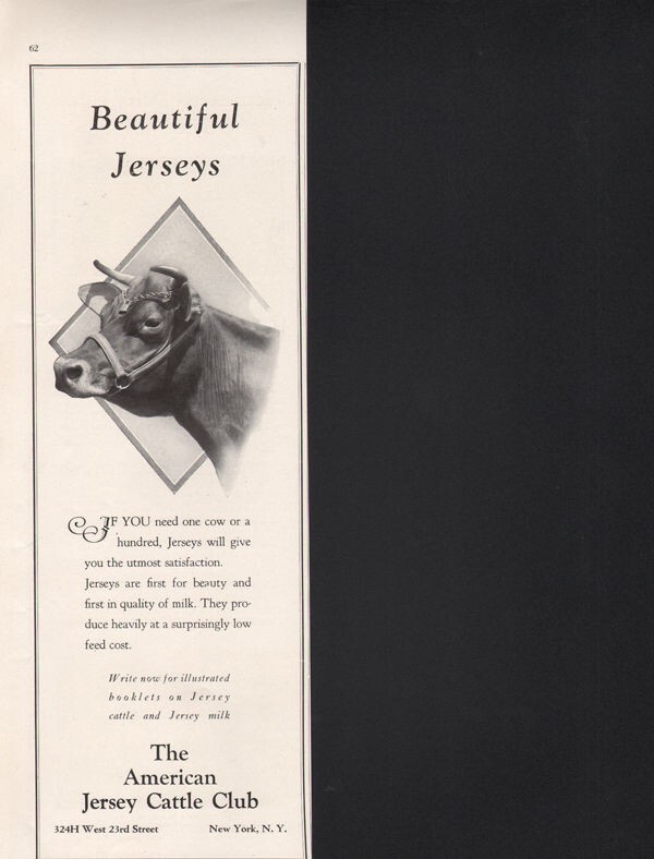 1928 JERSEY CATTLE CLUB MILK PROCE FARM FOOD NEW YORK16503