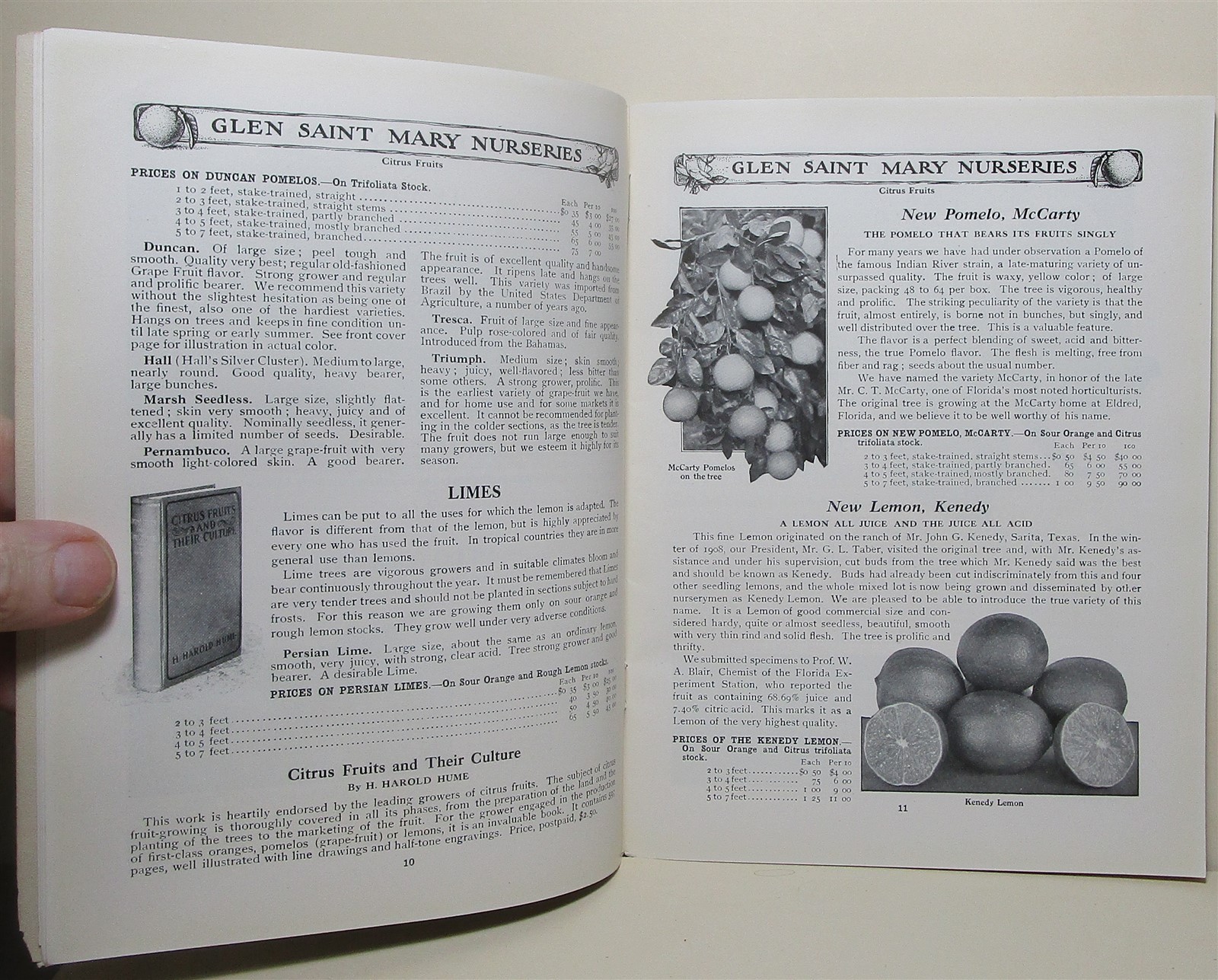 1910 Glen Saint Mary Nurseries catalog, Florida