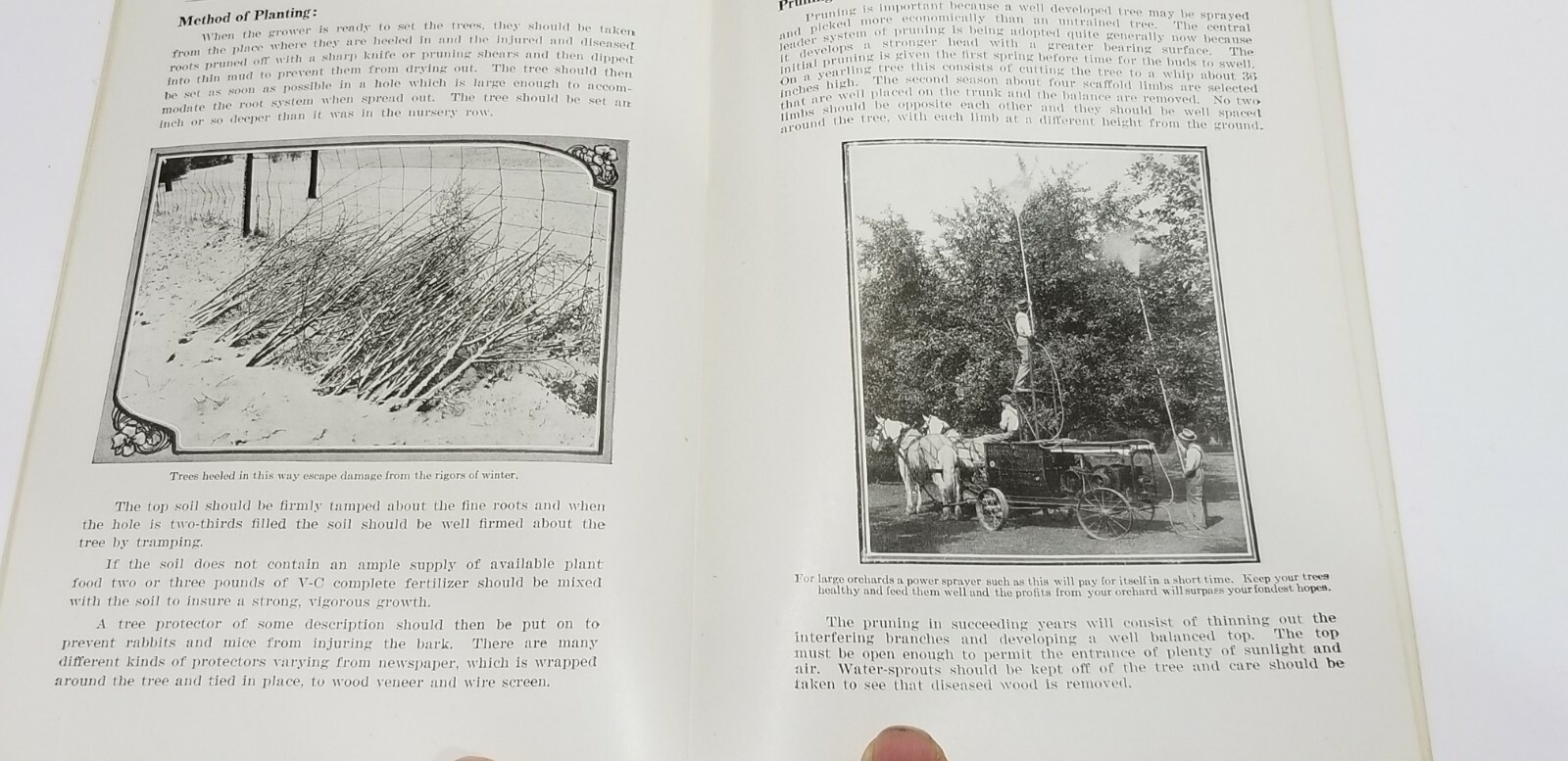 Vintage 1921 Advertising Pamphlet APPLE GROWING Virginia Carolina Fertilizer