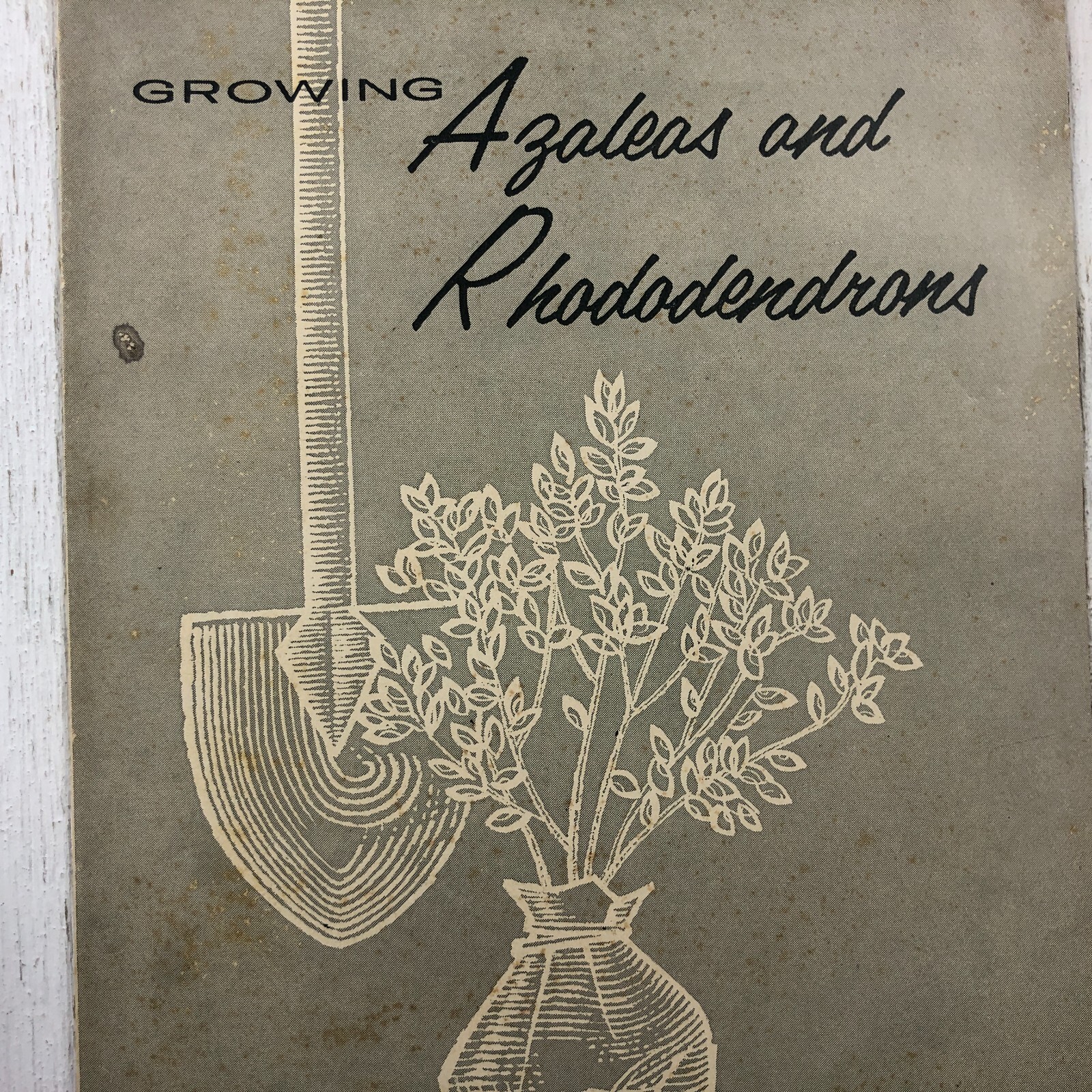Vintage U.S. Department Of Agriculture Growing Azaleas & Rhododendrons Pamphlet