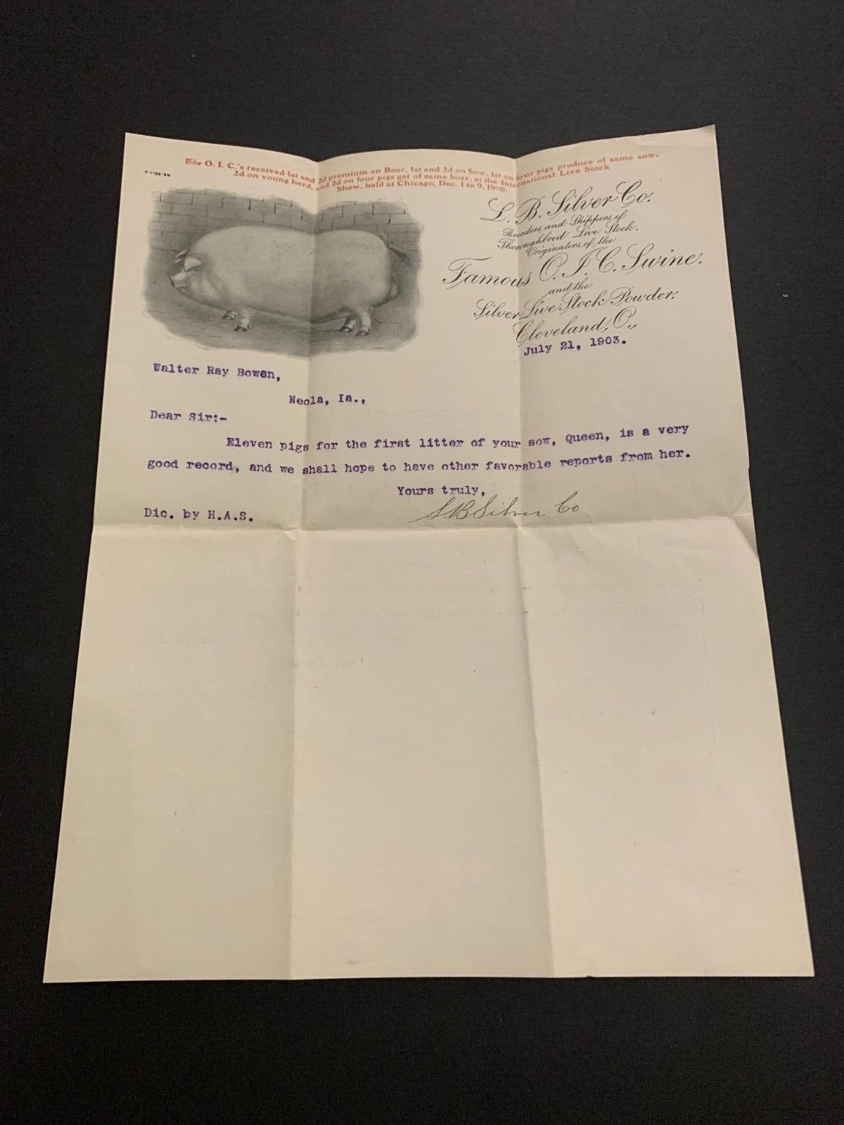 July 21 1903 L.B. Silver Famous O.I.C. Swine Letterhead Cleveland Ohio
