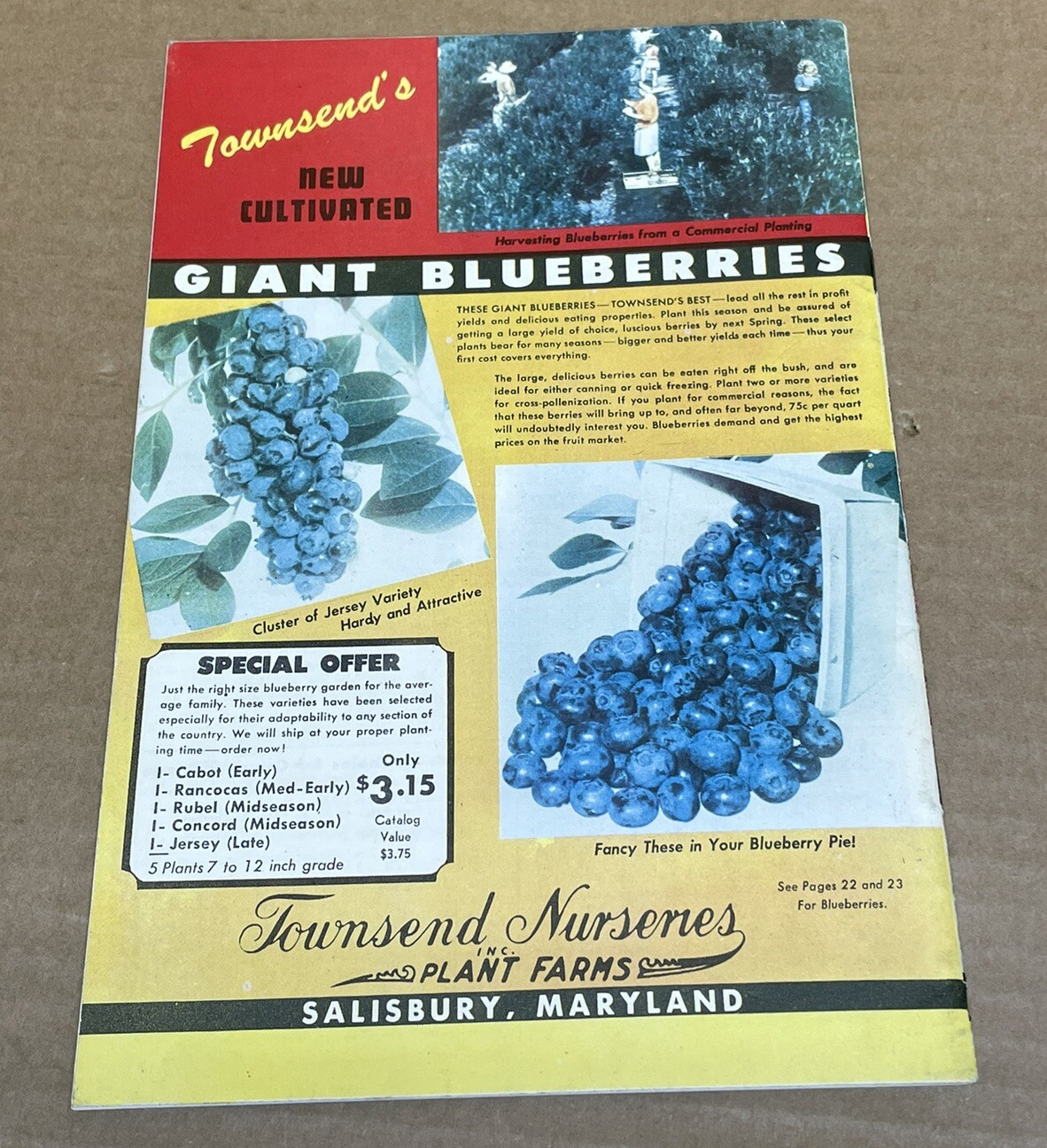 Vtg 1948 1949 Townsend Nurseries Salisbury, Maryland Garden Catalog Lot RARE