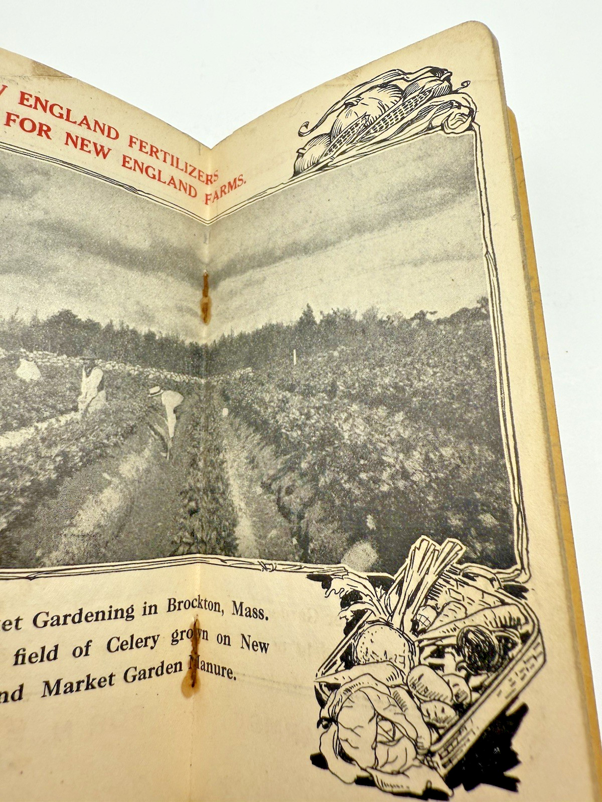 New England Animal Fertilizers Calendar Recipe and Notepad 1913.
