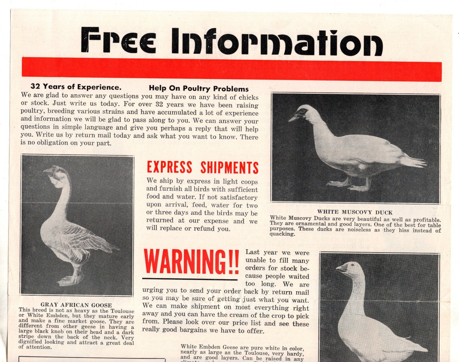 McMURRAY HATCHERY Ducks BANTAM Turkey 1940&rsquo;s Catalog Brochure Webster City IA